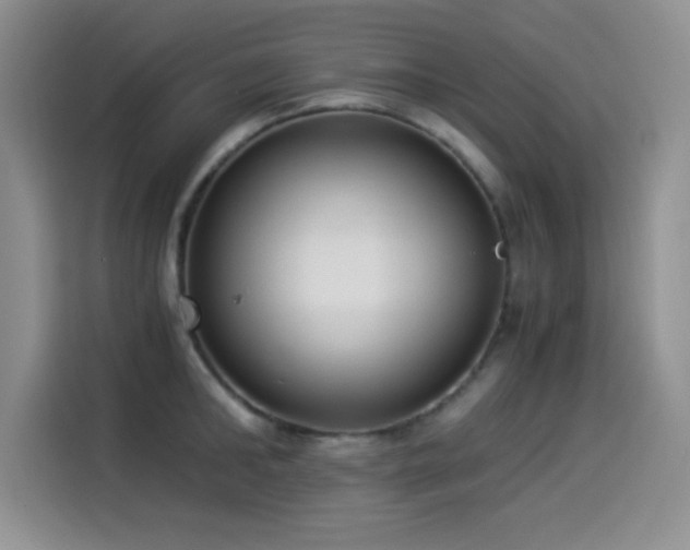 X0000114500902200910191248
