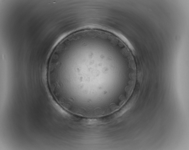 X0000114500903200910191248