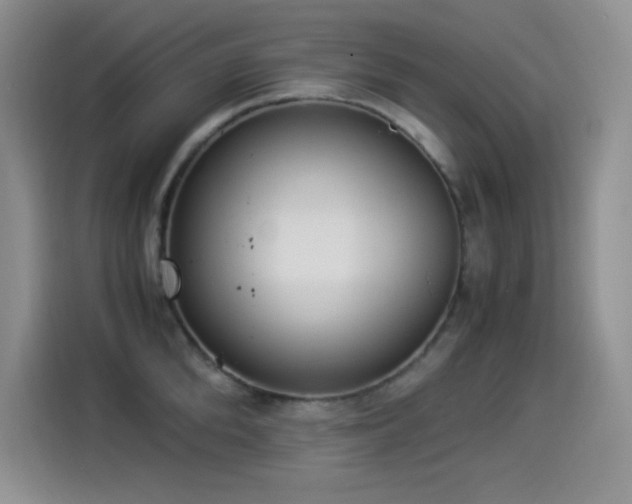 X0000114500904200910191248