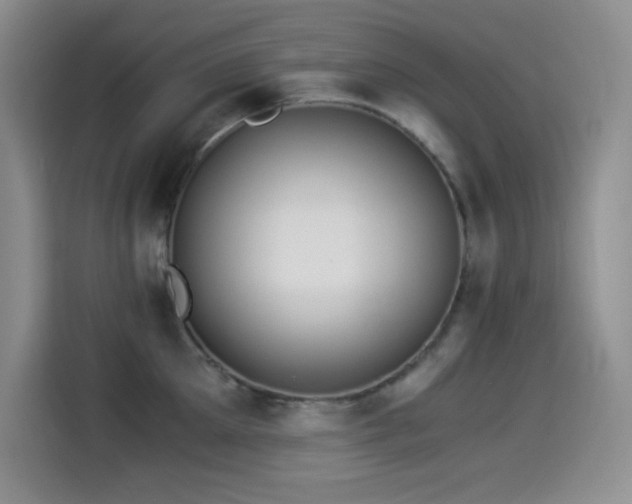 X0000114500905200910191248