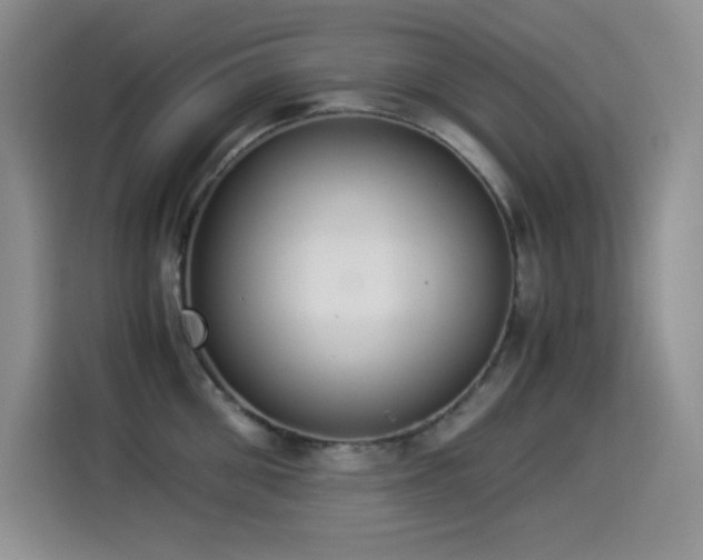 X0000114500906200910191248