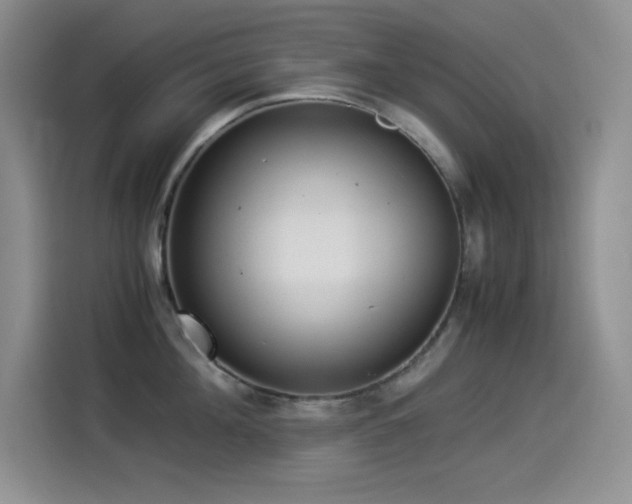X0000114500908200910191248