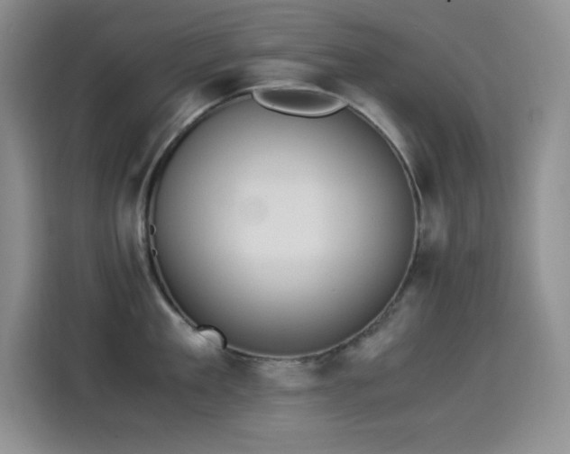 X0000114500909200910191248