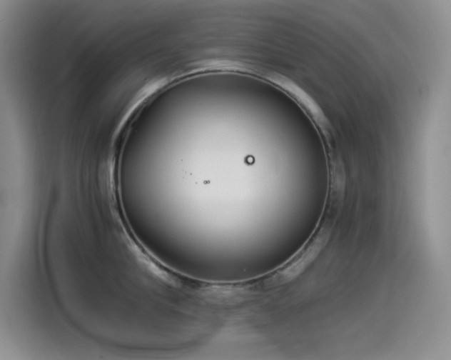 X0000114500910200910191248