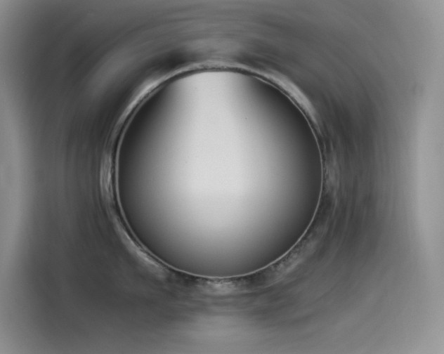 X0000114500911200910191248
