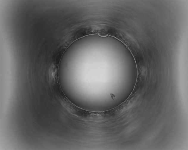 X0000114500914200910191248