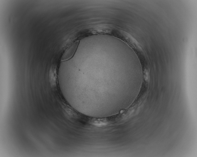 X0000114500915200910191248