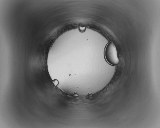 X0000114500918200910191248