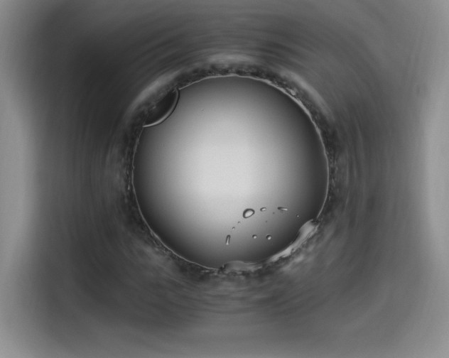 X0000114500919200910191248