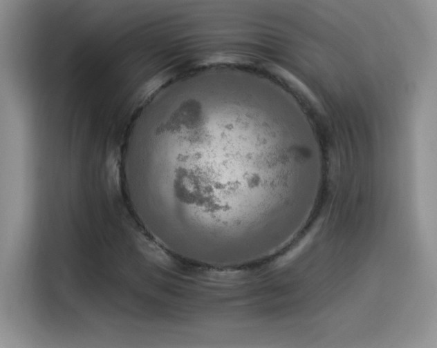 X0000114500921200910191248