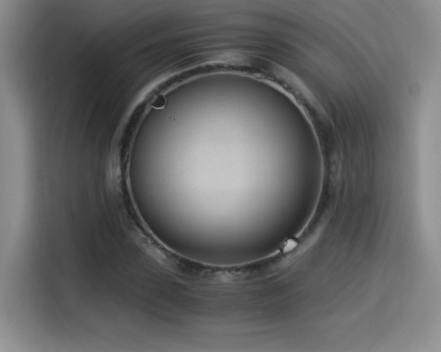 X0000114500923200910191248