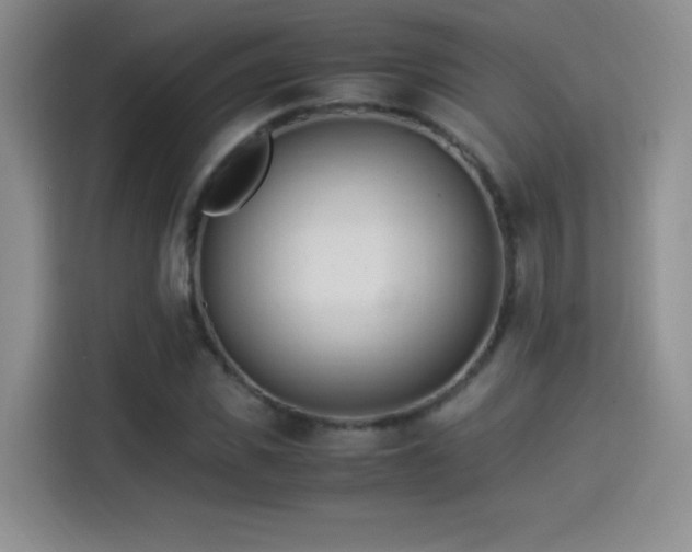 X0000114500925200910191248