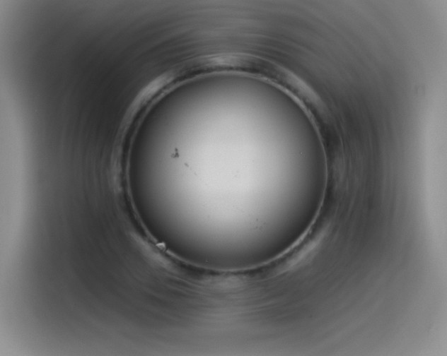 X0000114500930200910191248