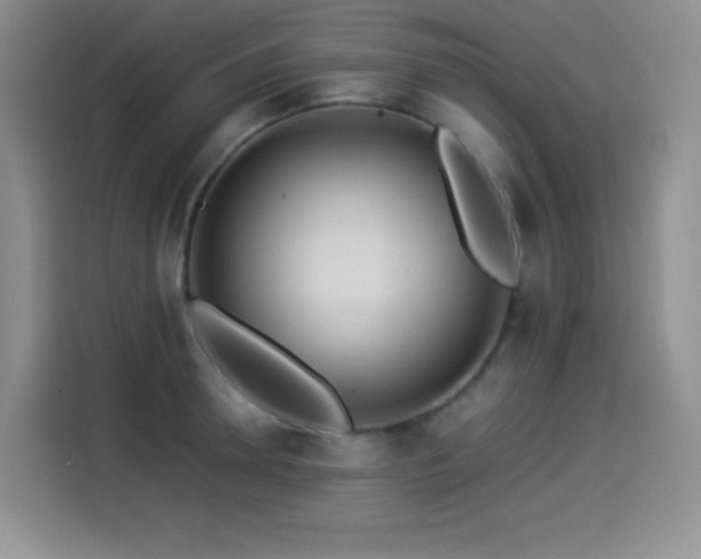 X0000114500946200910191248