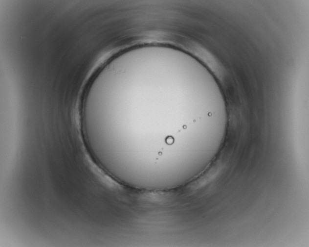 X0000114500950200910191248