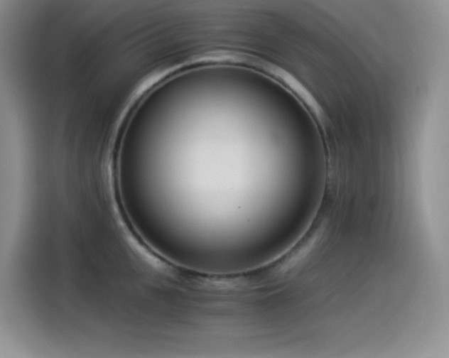 X0000114500951200910191248