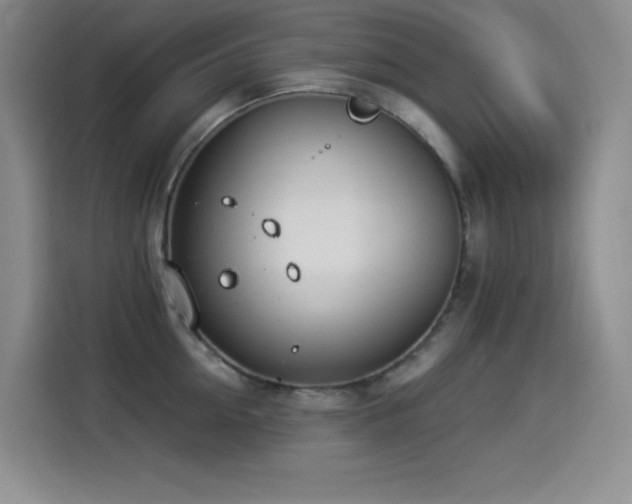X0000114500954200910191248