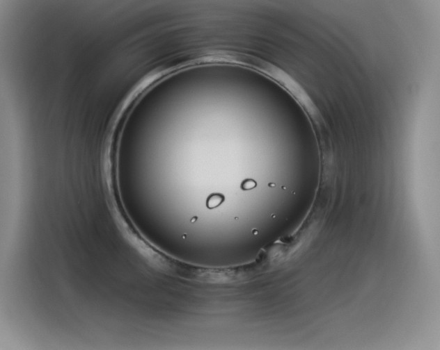 X0000114500955200910191248