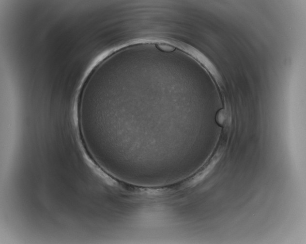 X0000114500958200910191248