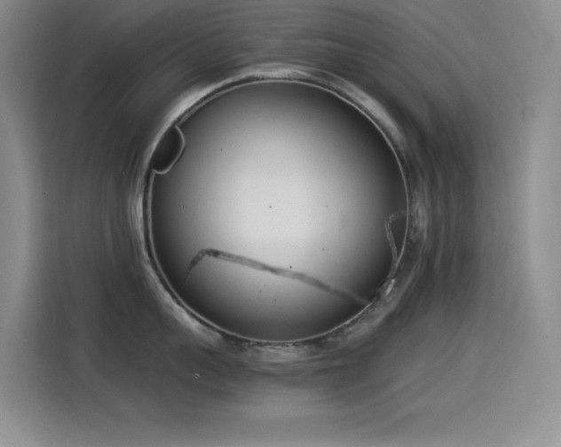 X0000114500959200910191248