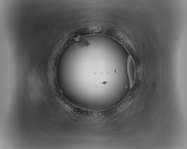 X0000114500961200910191248