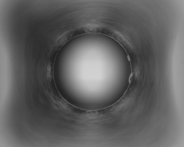 X0000114500964200910191247