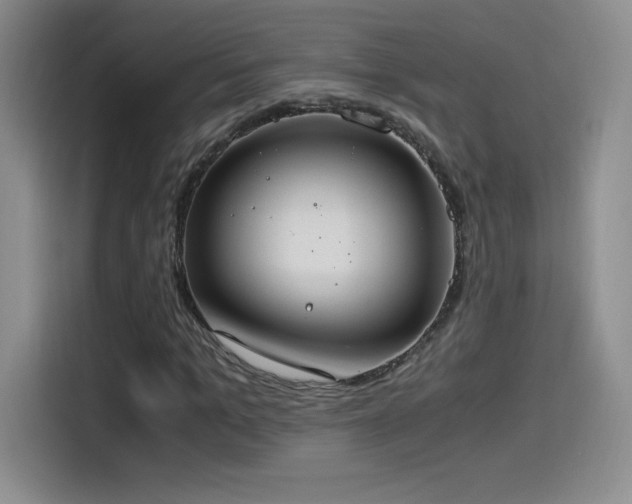 X0000114500965200910191247