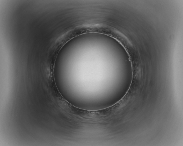 X0000114500966200910191247