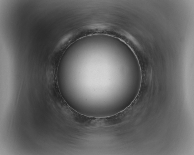 X0000114500967200910191247