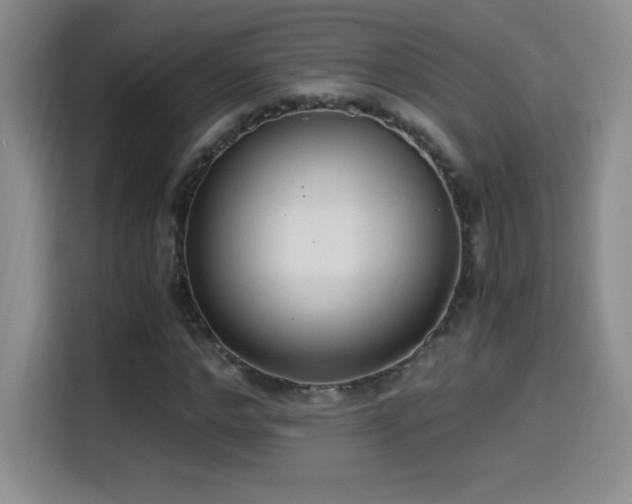 X0000114500968200910191247