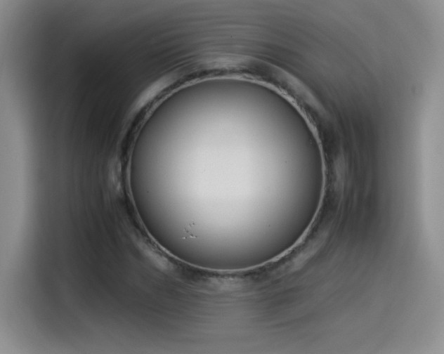 X0000114500970200910191247