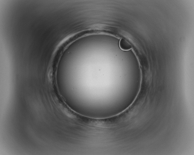 X0000114500971200910191247