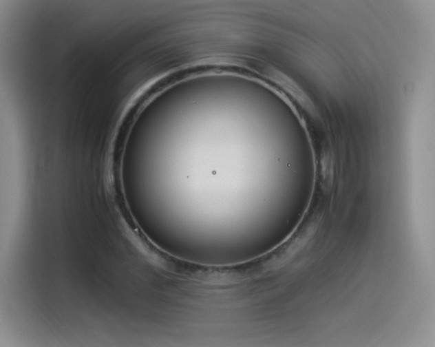 X0000114500972200910191247