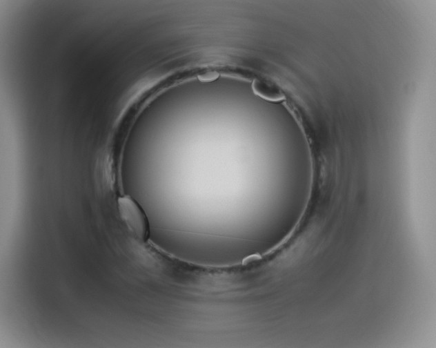 X0000114500973200910191247