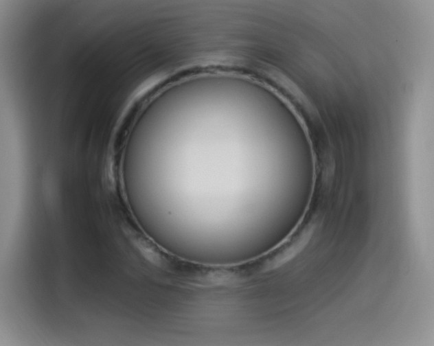 X0000114500974200910191247