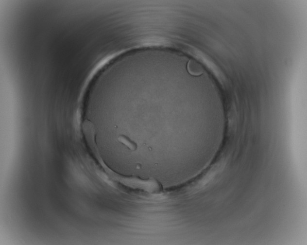 X0000114500975200910191247