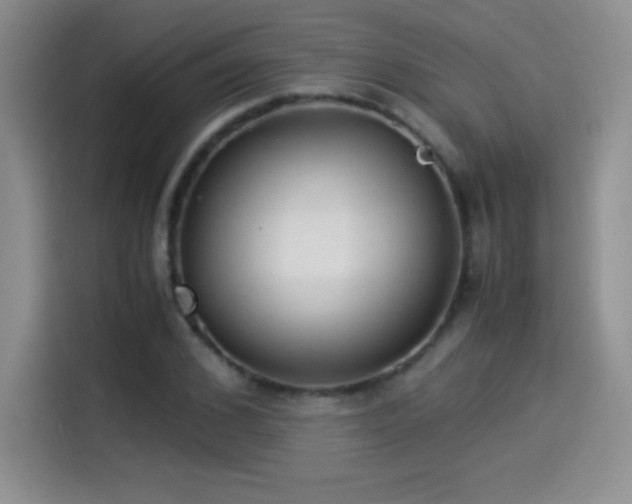 X0000114500976200910191247