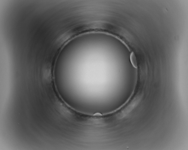 X0000114500977200910191247