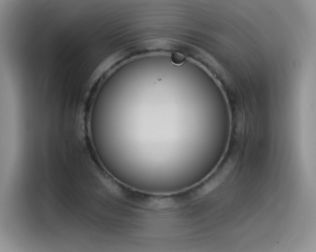 X0000114500978200910191247