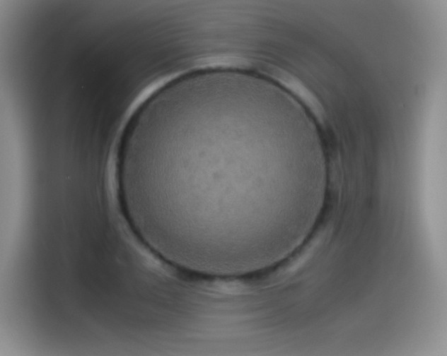 X0000114500983200910191247