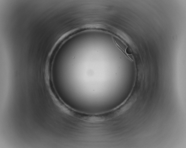 X0000114500984200910191247