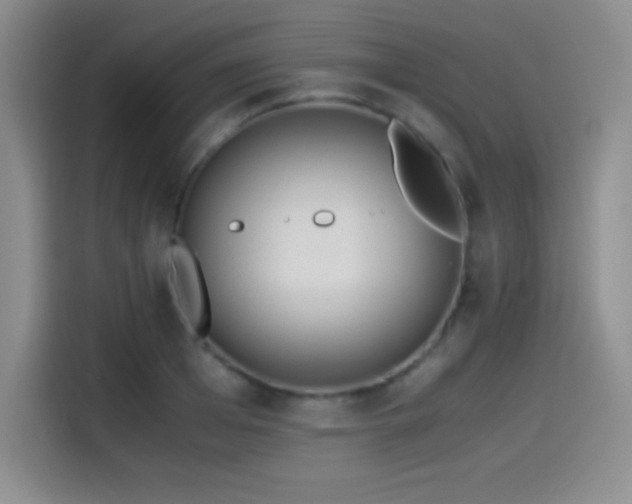 X0000114500985200910191247