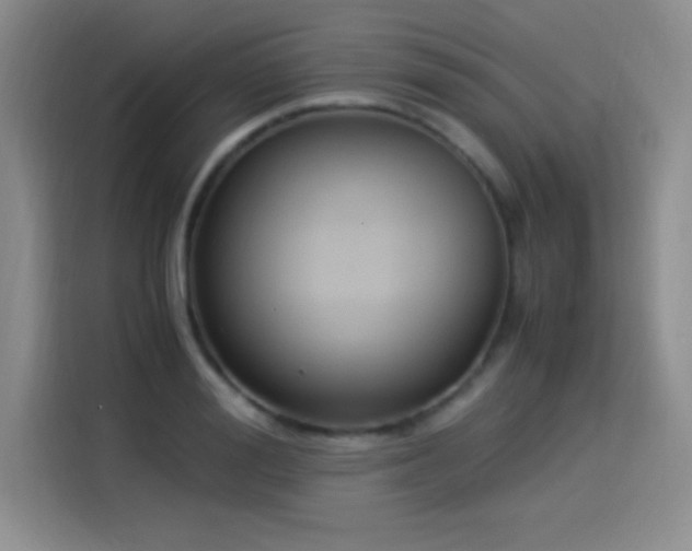 X0000114500988200910191247