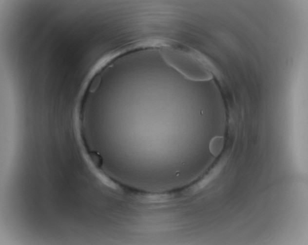X0000114500989200910191247