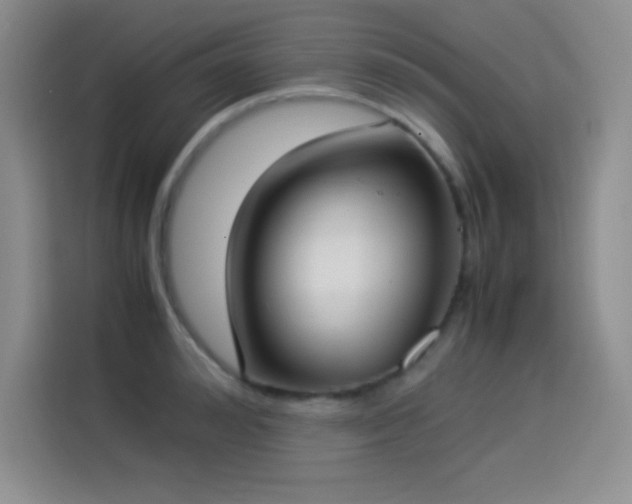 X0000114500992200910191247