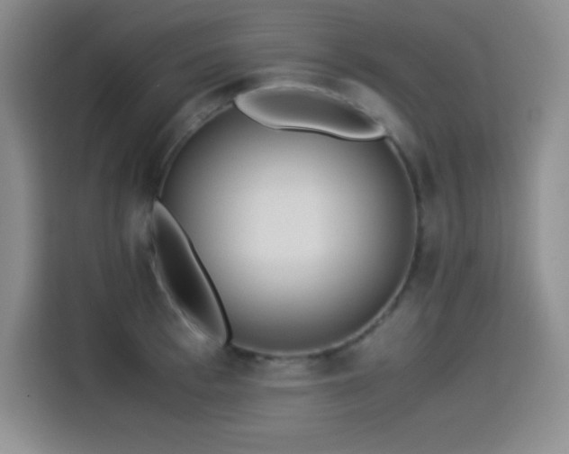 X0000114500993200910191247