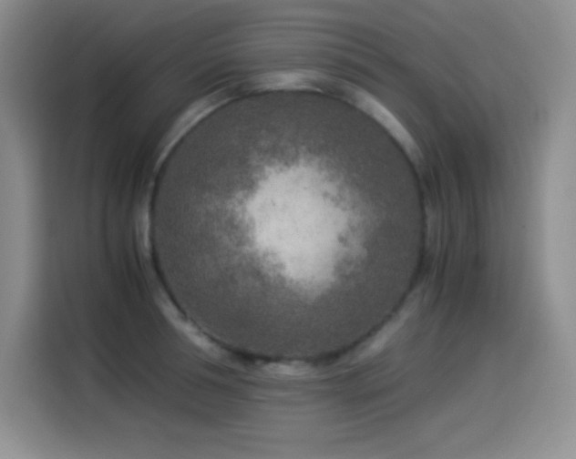 X0000114500994200910191247