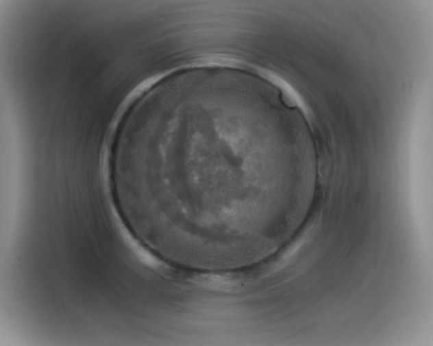X0000114500995200910191247