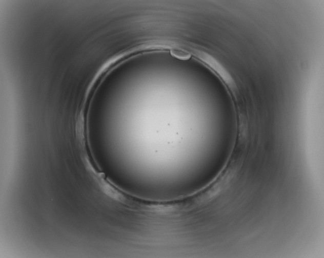 X0000114500996200910191247