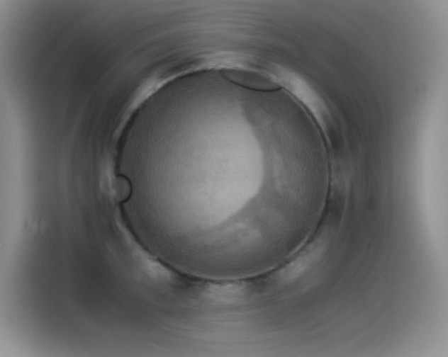 X0000114500997200910191247